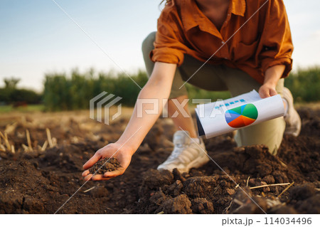 Female Hand of expert farmer collect soil and checking soil health before growth a seed of vegetable 114034496