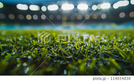 A soccer field with a bright green grass 114034830