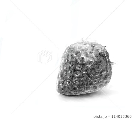 鉛筆デッサン風 いちごのイラスト素材 [114035360] - PIXTA