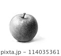 鉛筆デッサン風　りんご 114035361