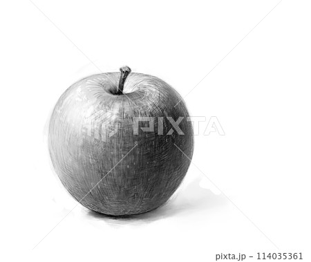 鉛筆デッサン風　りんご 114035361