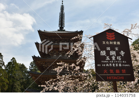 醍醐寺 春の五重塔 醍醐寺 春の五重塔 114035758