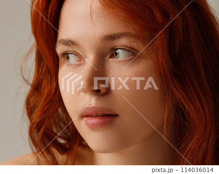 Beauty face . Beautiful face with freckles Beauty face . Beautiful face with freckles 114036014