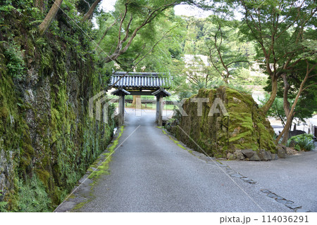 興聖寺　琴坂　表門 114036291