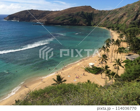 ハワイ　ハナウマ湾　癒しのビーチ 114036770