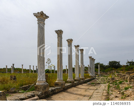 Remains of the ancient city of Salamis, Northern Cyprus 1 114036935