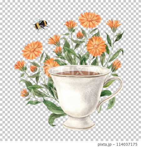 Watercolor tea composition with ceramic vintage mug, calendula and bumblebee. Illustration is hand drawn, suitable for menu design, packaging, poster, website, textile, invitation, brochure, textile. Watercolor tea composition with ceramic vintage mug, calendula and bumblebee. Illustration is hand drawn, suitable for menu design, packaging, poster, website, textile, invitation, brochure, textile. 114037175