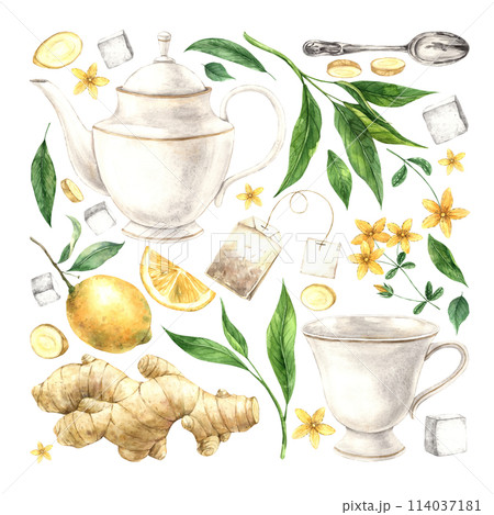 Watercolor composition of a mug, teapot, lemon, ginger, sugar, tea, green tea leaves. The illustration is drawn by hand. Drawing for menu design, packaging, poster, website, textile, brochure, design. Watercolor composition of a mug, teapot, lemon, ginger, sugar, tea, green tea leaves. The illustration is drawn by hand. Drawing for menu design, packaging, poster, website, textile, brochure, design. 114037181