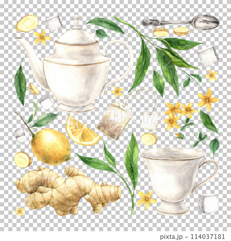 Watercolor composition of a mug, teapot, lemon, ginger, sugar, tea, green tea leaves. The illustration is drawn by hand. Drawing for menu design, packaging, poster, website, textile, brochure, design. Watercolor composition of a mug, teapot, lemon, ginger, sugar, tea, green tea leaves. The illustration is drawn by hand. Drawing for menu design, packaging, poster, website, textile, brochure, design. 114037181