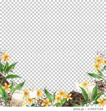 Watercolor frame on a tea theme with fresh and dry tea, a tea bag and tutsan. Illustration is hand drawn, suitable for menu design, packaging, poster, website, textile, invitation, brochure, textile. 114037184