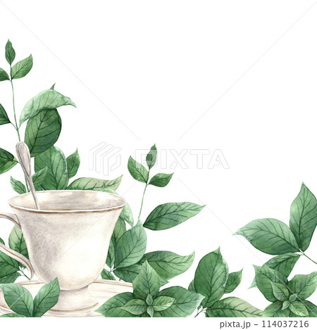Watercolor frame with ceramic mug and fresh spicy mint. Illustration hand drawn on isolated background, suitable for menu design, packaging, poster, website, textile, invitation, brochure, design. Watercolor frame with ceramic mug and fresh spicy mint. Illustration hand drawn on isolated background, suitable for menu design, packaging, poster, website, textile, invitation, brochure, design. 114037216