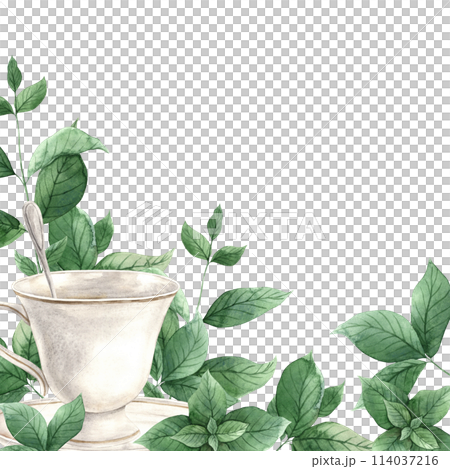 Watercolor frame with ceramic mug and fresh spicy mint. Illustration hand drawn on isolated background, suitable for menu design, packaging, poster, website, textile, invitation, brochure, design. Watercolor frame with ceramic mug and fresh spicy mint. Illustration hand drawn on isolated background, suitable for menu design, packaging, poster, website, textile, invitation, brochure, design. 114037216