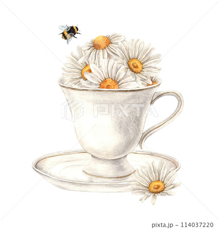 Watercolor composition with a ceramic mug, chamomile flowers and bumblebee. Illustration is hand drawn, suitable for menu design, packaging, poster, website, textile, invitation, brochure, textile. 114037220