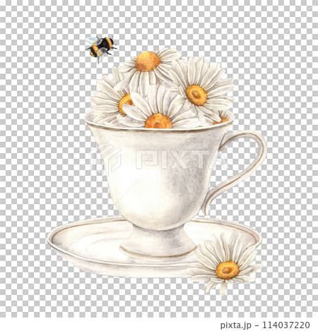 Watercolor composition with a ceramic mug, chamomile flowers and bumblebee. Illustration is hand drawn, suitable for menu design, packaging, poster, website, textile, invitation, brochure, textile. 114037220