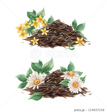 Watercolor tea composition with a slide of dry tea, green leaves, chamomile and tutsan. The illustration is hand drawn on an isolated background. Drawing for menu design, packaging, website, textile 114037238