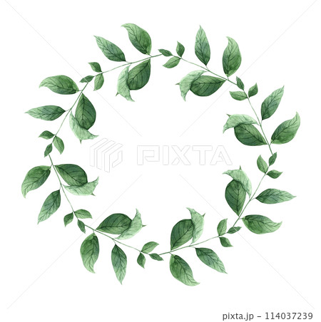 Watercolor botanical wreath made of mint leaves. The illustration is hand drawn on an isolated background. Drawing for menu design, packaging, poster, website, textile, brochure, graphic design. 114037239