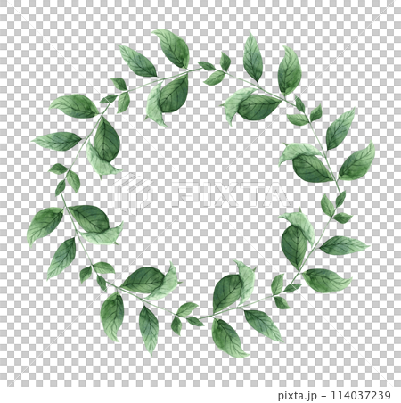 Watercolor botanical wreath made of mint leaves. The illustration is hand drawn on an isolated background. Drawing for menu design, packaging, poster, website, textile, brochure, graphic design. 114037239