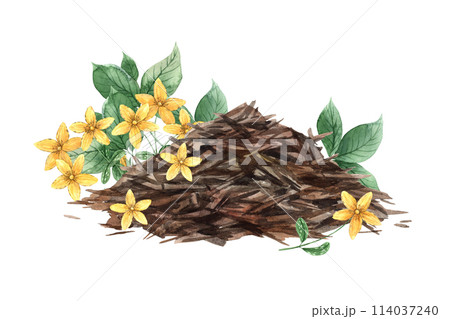 Watercolor tea composition with a slide of dry tea, green leaves, mint and tutana. The illustration is hand drawn on an isolated background. Drawing for menu design, packaging, website, textiles 114037240