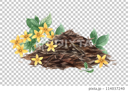 Watercolor tea composition with a slide of dry tea, green leaves, mint and tutana. The illustration is hand drawn on an isolated background. Drawing for menu design, packaging, website, textiles 114037240