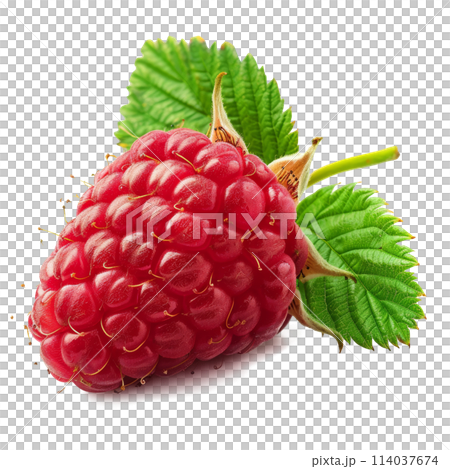 Close Up of a Raspberry on White Background 114037674