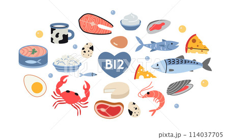 Best sources of vitamin B12 foods, cartoon style. Sea food, fish, meat, dairy products and eggs set. Isolated vector illustration, hand drawn, flat design Best sources of vitamin B12 foods, cartoon style. Sea food, fish, meat, dairy products and eggs set. Isolated vector illustration, hand drawn, flat design 114037705