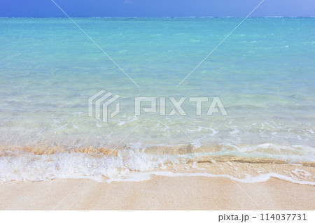 波打ち際 114037731