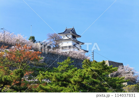【香川県】北側内堀から見た桜咲く春の丸亀城 114037831
