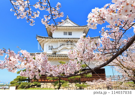 【香川県】桜咲く春の丸亀城（現存天守と石垣の名城） 114037838