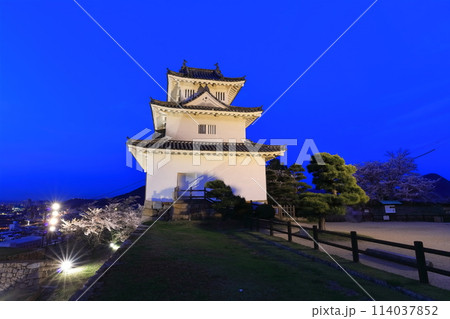 【香川県】桜咲く春の丸亀城（ライトアップされた丸亀城と夜桜）石垣の名城 114037852