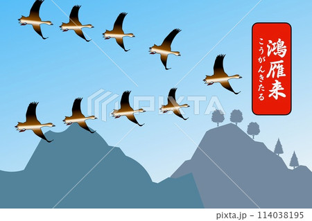 鴻雁来　こうがんきたる 114038195