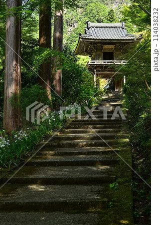 新緑の岩瀧寺 新緑の岩瀧寺 114038232