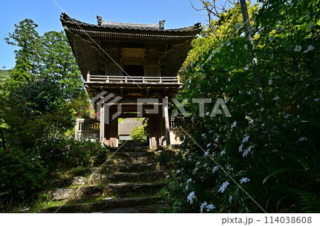 新緑の岩瀧寺 新緑の岩瀧寺 114038608