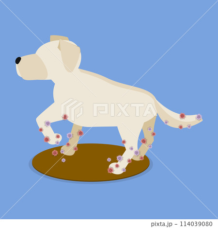 3D Isometric Flat Vector Illustration of Dirty Dog, Animal Parasites 114039080