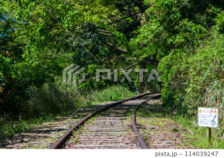 日本の鳥取県倉吉市関金のとても美しい廃線跡 日本の鳥取県倉吉市関金のとても美しい廃線跡 114039247