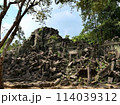 カンボジアの遺跡 114039312