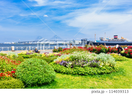 春の横浜ベイエリア　山下公園 114039313