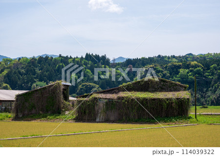 日本の鳥取県倉吉市関金の古くてとても美しい建物 日本の鳥取県倉吉市関金の古くてとても美しい建物 114039322