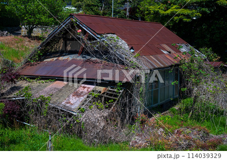 日本の鳥取県倉吉市関金の古くてとても美しい建物 日本の鳥取県倉吉市関金の古くてとても美しい建物 114039329