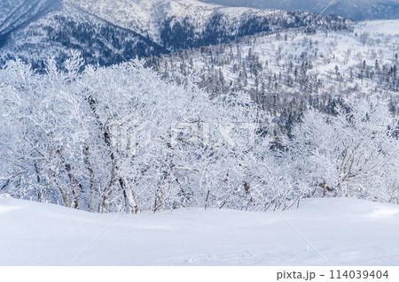 Yuzhno-Sakhalinsk, Match 03.2024 Ski resort Mountain Air Resort, Yuzhno-Sakhalinsk, Russia. 114039404