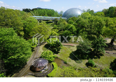 日本最大級のフラワーパーク「とっとり花回廊」：回廊から花の谷（手前）とフラワードームを見る 114039486