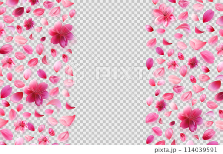 Sakura petals png composition side banner on checkered grey background. Rose flower frame. Stock vector illustration isolated in realistic style. 114039591