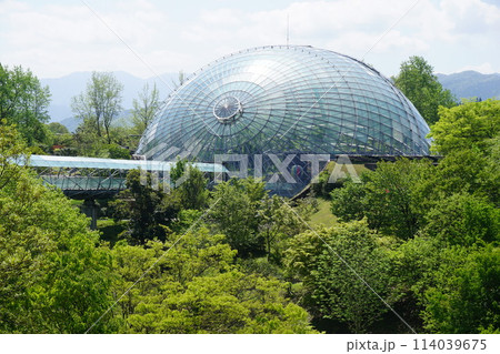 日本最大級のフラワーパーク「とっとり花回廊」:新緑の中のフラワードームとクリスタルロード 日本最大級のフラワーパーク「とっとり花回廊」:新緑の中のフラワードームとクリスタルロード 114039675