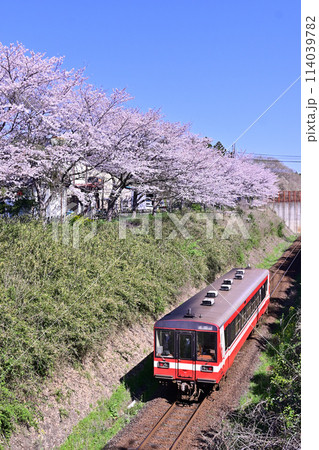 春の青空の下を走る鹿島臨海鉄道6000形気動車 114039782