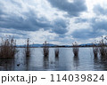 曇り空の琵琶湖につながった内湖　滋賀県草津市津田江内湖 114039824