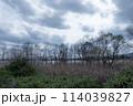 曇り空の琵琶湖につながった内湖　滋賀県草津市津田江内湖 114039827