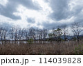 曇り空の琵琶湖につながった内湖　滋賀県草津市津田江内湖 114039828