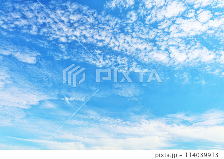 秋の青空と雲 114039913