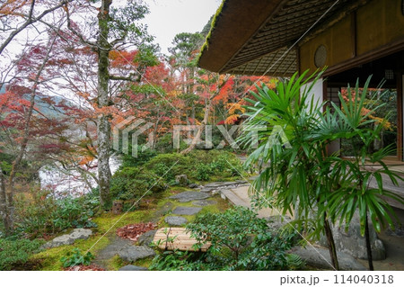 カラフルな紅葉に囲まれた日本庭園の情景 114040318
