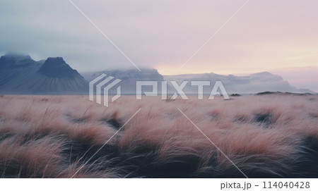Mystical Mountainscape with Feathered Grass in Foreground at Twilight 114040428