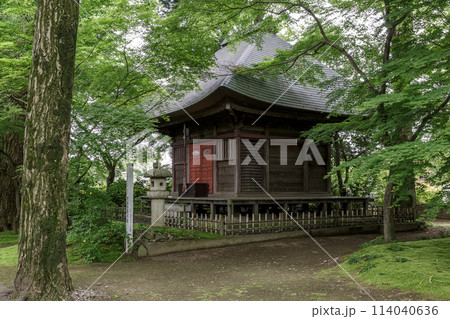 苔庭のある寺院として知られる最勝寺薬師堂【茨城県筑西市】 114040636